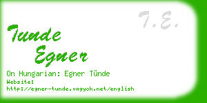 tunde egner business card